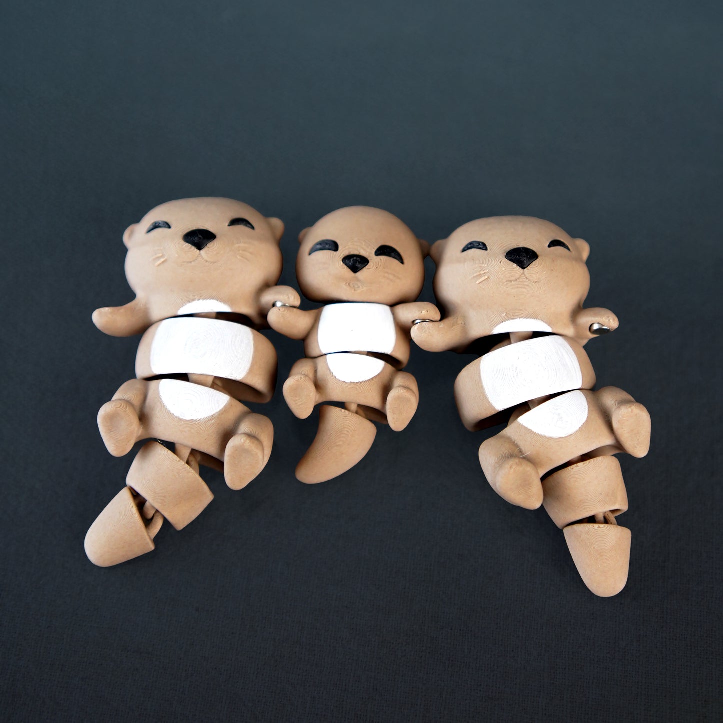 🧲 Magnetic Buddy – Baby Otter