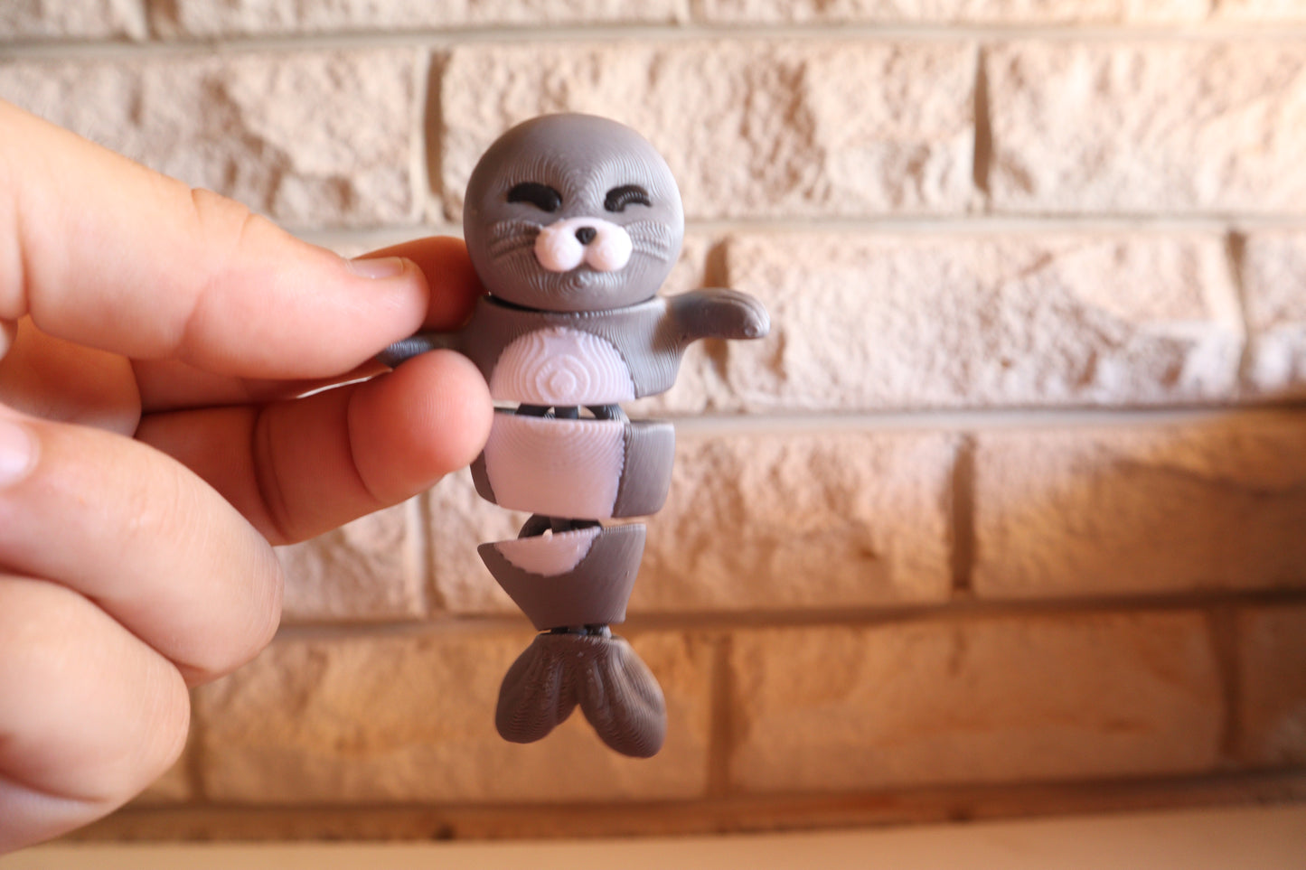 🧲 Magnetic Buddy – Seal