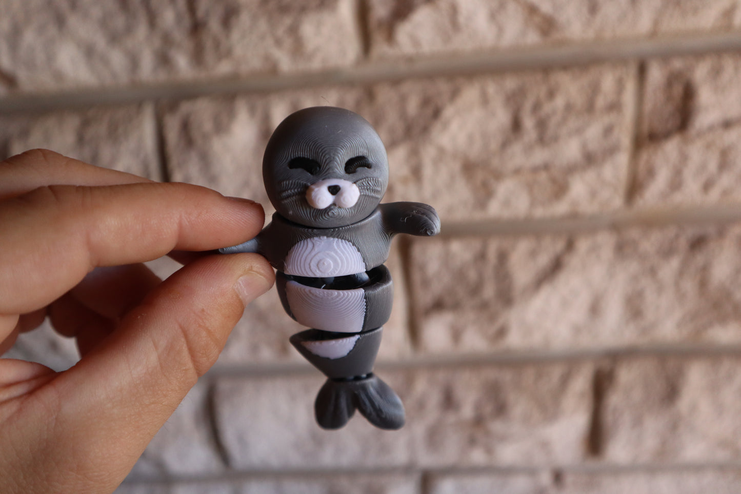 🧲 Magnetic Buddy – Seal