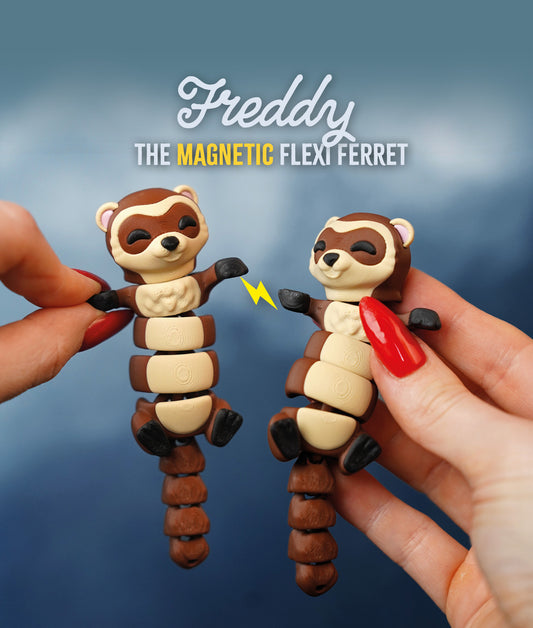 🧲 Magnetic Buddy - Ferret