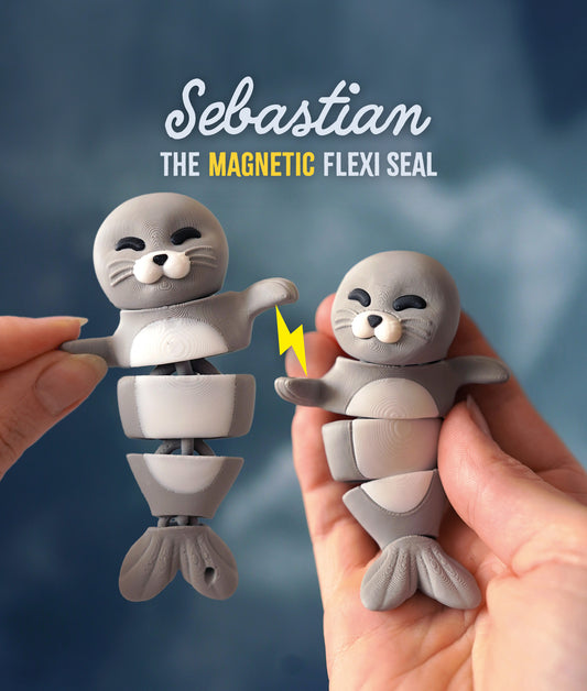 🧲 Magnetic Buddy – Seal
