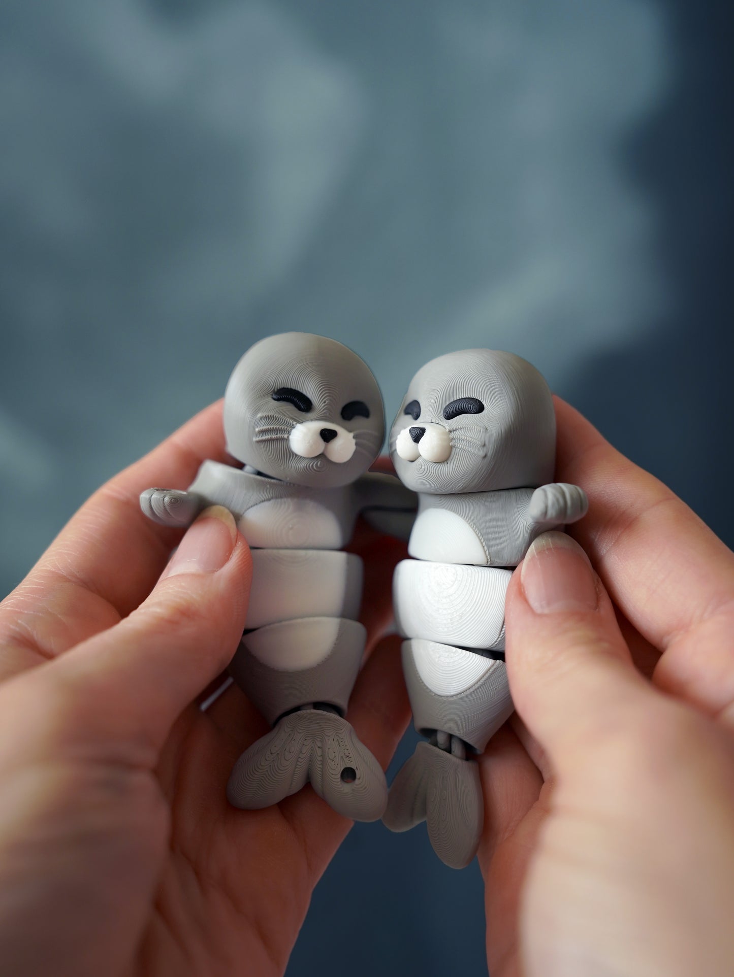 🧲 Magnetic Buddy – Seal