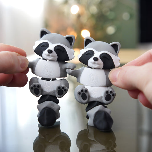 🧲 Magnetic Buddy Racoon & Bin
