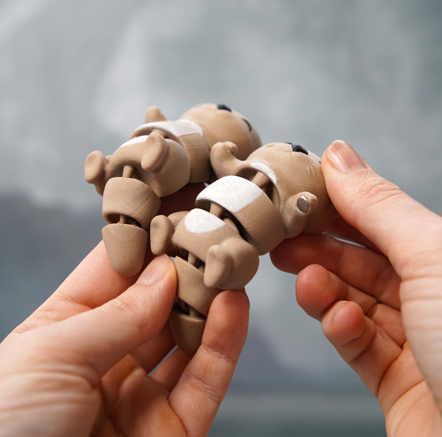 🧲 Magnetic Buddy - Otter