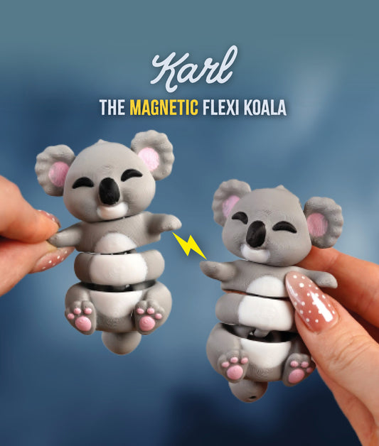 🧲 Magnetic Buddy - Koala