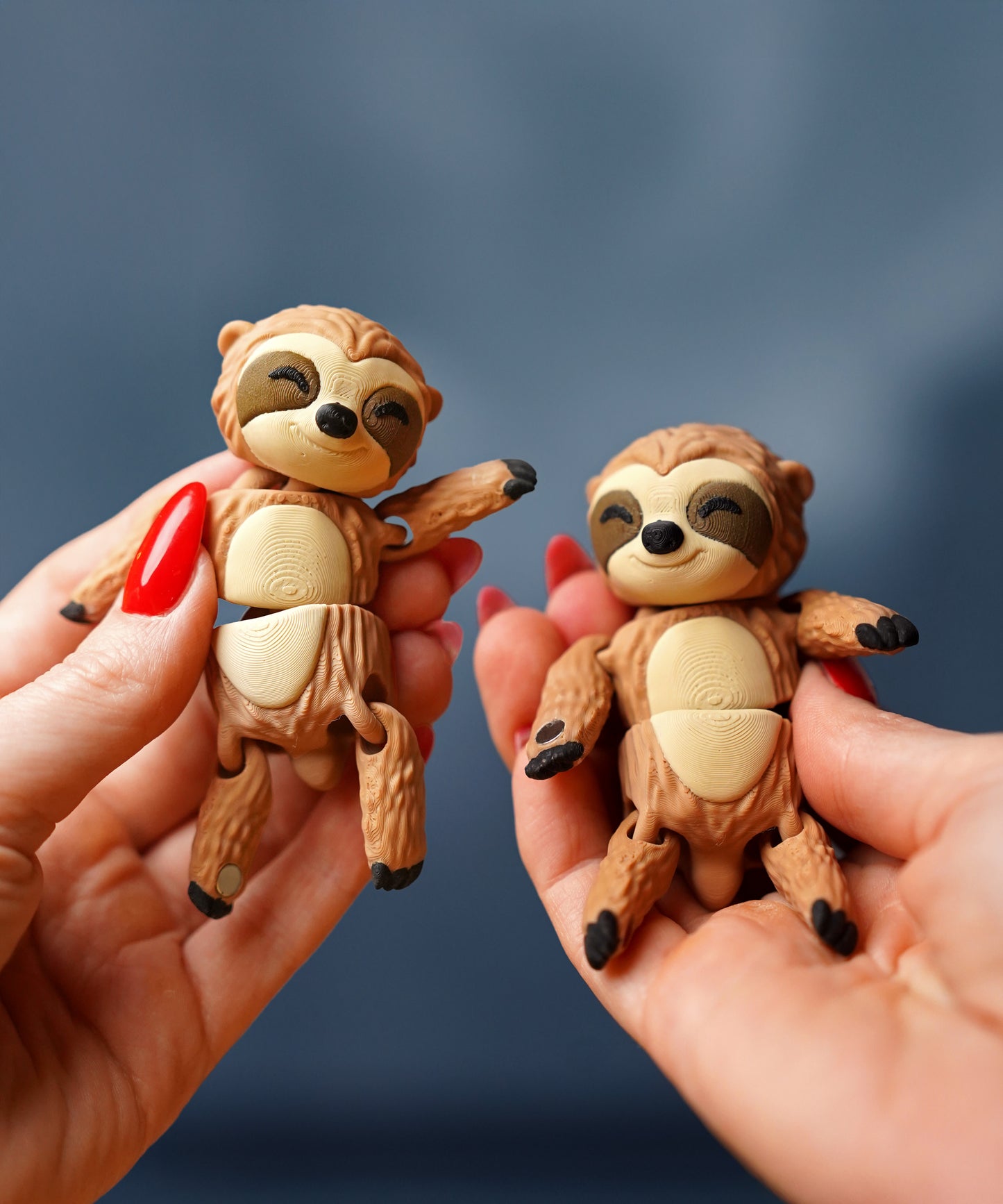 🧲 Magnetic Buddy – Sloth