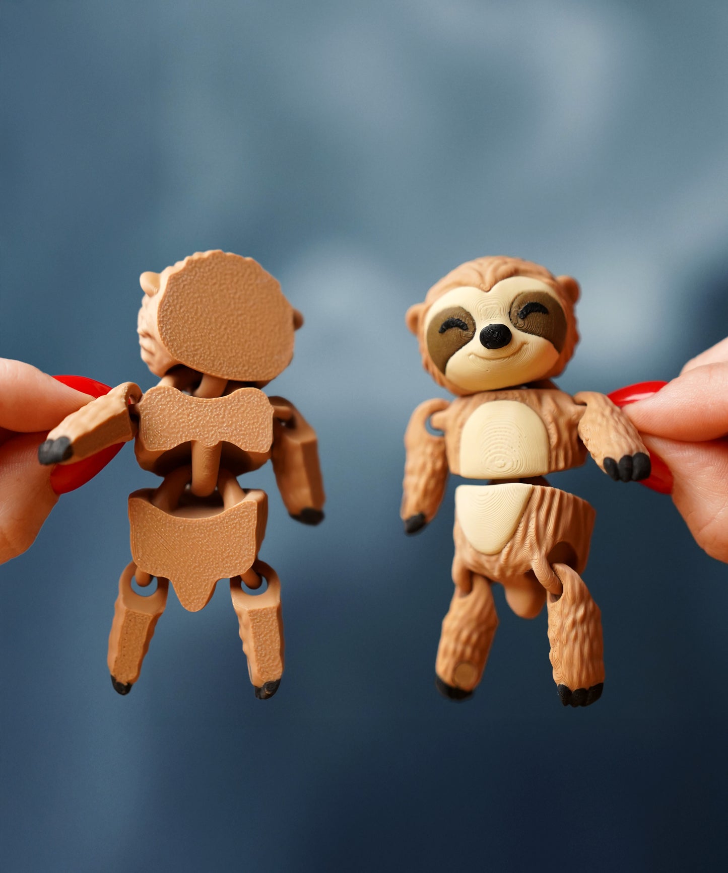 🧲 Magnetic Buddy – Sloth